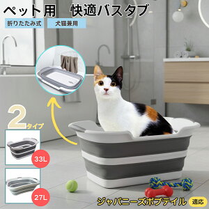 Wpj[Y{ueCL Wp{uybgp܂肽݃oX^u RpNg[ t L  ^   Vv[ C pr炢 y ^ѕ֗ v h