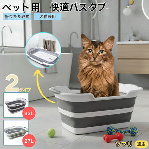 \}L \}ybgp܂肽݃oX^u RpNg[ t L  ^   Vv[ C pr炢 y ^ѕ֗ v h[oPcp AE