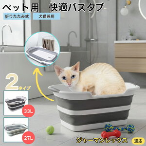 W[}bNXL W[}ybgp܂肽݃oX^u RpNg[ t L  ^   Vv[ C pr炢 y ^ѕ֗ v h[