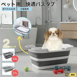 ༌ ༃ybgp܂肽݃oX^u RpNg[ t L  ^   Vv[ C pr炢 y ^ѕ֗ v h[oPcp AEghA 