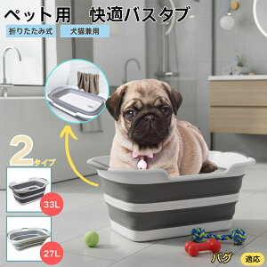 pO pOybgp܂肽݃oX^u RpNg[ t L  ^   Vv[ C pr炢 y ^ѕ֗ v h[oPcp AEgh