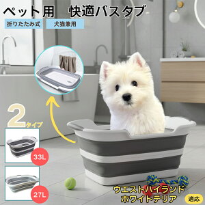 EGXgnChzCgeA ybgp܂肽݃oX^u RpNg[ t L  ^   Vv[ C pr炢 y ^ѕ֗ v h