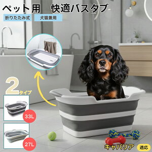 LoALO`[YXpjGybgp܂肽݃oX^u RpNg[ t L  ^   Vv[ C pr炢 y ^ѕ֗ v 