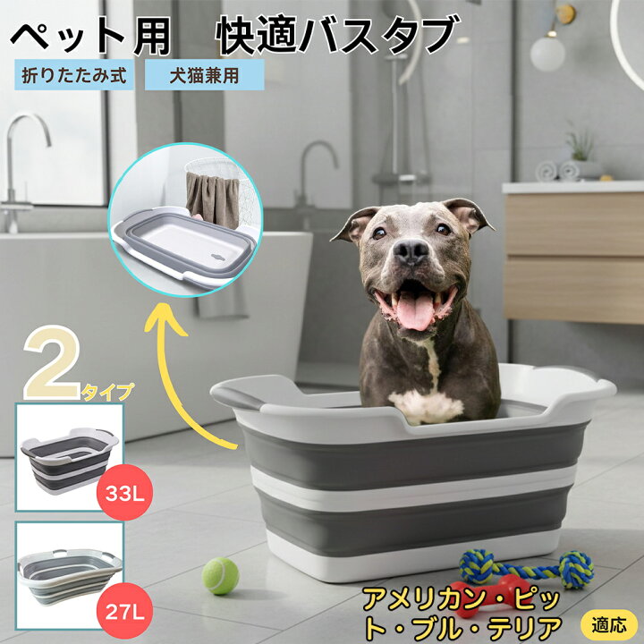 楽天市場】【5倍ポイント】 アメリカンピットブルテリア犬 アンピット 