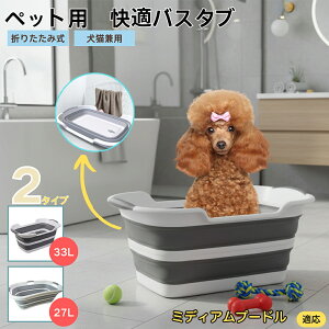 ~fBAv[h ~fBAv[ybgp܂肽݃oX^u RpNg[ t L  ^   Vv[ C pr炢 y ^ѕ֗ v h