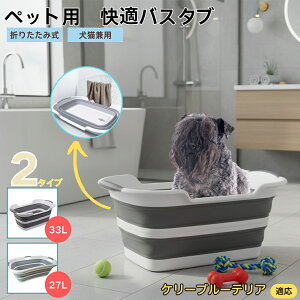 P[u[eA P[u[ybgp܂肽݃oX^u RpNg[ t L  ^   Vv[ C pr炢 y ^ѕ֗ v h