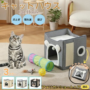 AJV[gwAL AVLbgnEX Lxbh ~p  ӂӂNbVt ۉnEX ܂Ƃʕt OK ^p ܂肽ݎ[\  