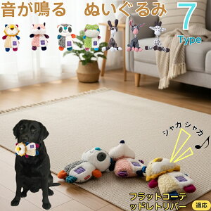 y5{|CgztbgR[ebhgo[  J ʂ  JVJV ^ ^ q ޗV XgX 􂦂 ӂӂ Sf 115^Cv