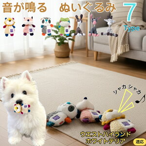 y5{|CgzEGXgnChzCgeA   J ʂ  JVJV ^ ^ q ޗV XgX 􂦂 ӂӂ Sf 44^