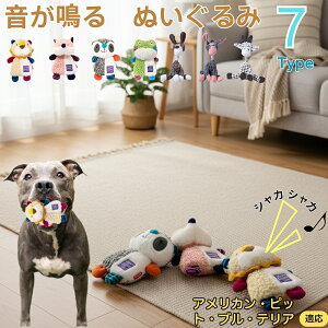 y5{|CgzAJsbgueA Asbg  J ʂ  JVJV ^ ^ q ޗV XgX 􂦂 ӂӂ Sf 