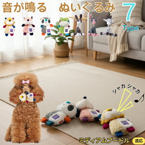 y5{|Cgz~fBAv[h ~fBAv[  J ʂ  JVJV ^ ^ q ޗV XgX 􂦂 ӂӂ Sf 56^