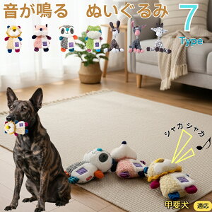 y5{|Cgzb㌢ b㌢  J ʂ  JVJV ^ ^ q ޗV XgX 􂦂 ӂӂ Sf 62^CvIׂ v[g