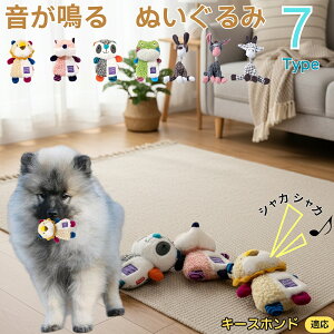 y5{|CgzL[Xzh L[X  J ʂ  JVJV ^ ^ q ޗV XgX 􂦂 ӂӂ Sf 63^CvIׂ v