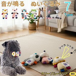 y5{|CgzP[u[eA P[u[  J ʂ  JVJV ^ ^ q ޗV XgX 􂦂 ӂӂ Sf 65^C