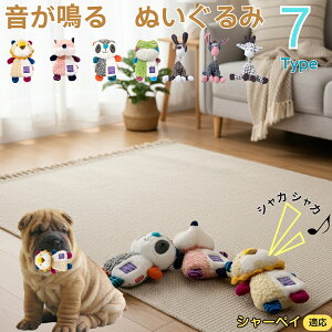 y5{|CgzV[yC V[yC  J ʂ  JVJV ^ ^ q ޗV XgX 􂦂 ӂӂ Sf 68^CvIׂ 