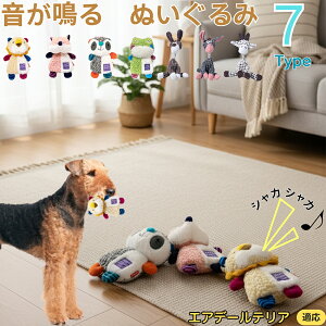 y5{|CgzGAf[eA GAf[  J ʂ  JVJV ^ ^ q ޗV XgX 􂦂 ӂӂ Sf 93^CvI