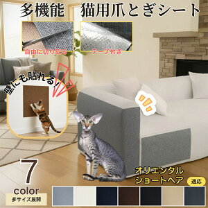 IG^V[gwAL IV L ܂Ƃh~V[g  OK ͂ ǎی  \t@ hA  Ƌ  h~ \邾 唻 Jbg h ϋv SՎcɂ Ђ