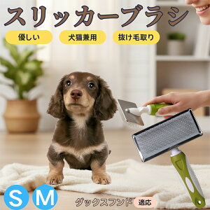 �y5�{�|�C���g�z�_�b�N�X�t���h���� �_�b�N�X �X���b�J�[�u���V ���L���p �y�b�g�u���V �����сE�ыʎ�� ��[���`�Œɂ��Ȃ� �Z�� ���ёΉ� ���^�� ���^�� �ې�OK �}�b�T�[�W �O���[�~��