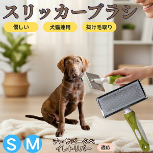 �y5�{�|�C���g�z�`�F�T�s�[�N�x�C���g���o�[�� �`�F�T�s�[�N �X���b�J�[�u���V ���L���p �y�b�g�u���V �����сE�ыʎ�� ��[���`�Œɂ��Ȃ� �Z�� ���ёΉ� ���^�� ���^�� �ې�OK �}�b�T