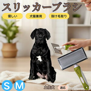 �y5�{�|�C���g�z�y������ �y�� �X���b�J�[�u���V ���L���p �y�b�g�u���V �����сE�ыʎ�� ��[���`�Œɂ��Ȃ� �Z�� ���ёΉ� ���^�� ���^�� �ې�OK �}�b�T�[�W �O���[�~���O�p