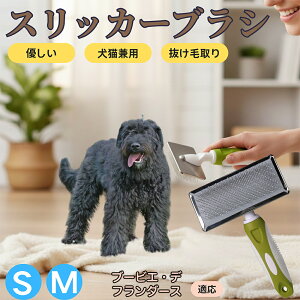 �y5�{�|�C���g�z�u�[�r�G�f�t�����_�[�X�� �u�[�r�G �X���b�J�[�u���V ���L���p �y�b�g�u���V �����сE�ыʎ�� ��[���`�Œɂ��Ȃ� �Z�� ���ёΉ� ���^�� ���^�� �ې�OK �}�b�T�[�W �O��