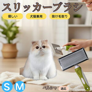 �y5�{�|�C���g�z�y���V���L�� �y���V�� �X���b�J�[�u���V ���L���p �y�b�g�u���V �����сE�ыʎ�� ��[���`�Œɂ��Ȃ� �Z�� ���ёΉ� ���^�� ���^�� �ې�OK �}�b�T�[�W �O���[�~���O�p