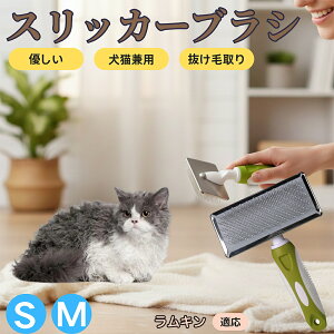 �y5�{�|�C���g�z�����L���L�� �����L�� �X���b�J�[�u���V ���L���p �y�b�g�u���V �����сE�ыʎ�� ��[���`�Œɂ��Ȃ� �Z�� ���ёΉ� ���^�� ���^�� �ې�OK �}�b�T�[�W �O���[�~���O�p