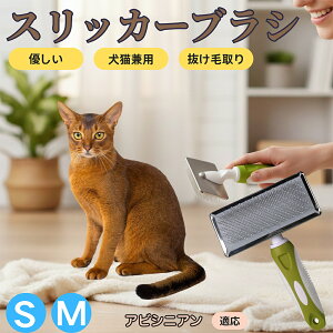 �y5�{�|�C���g�z�A�r�V�j�A���L �A�r �X���b�J�[�u���V ���L���p �y�b�g�u���V �����сE�ыʎ�� ��[���`�Œɂ��Ȃ� �Z�� ���ёΉ� ���^�� ���^�� �ې�OK �}�b�T�[�W �O���[�~���O�p