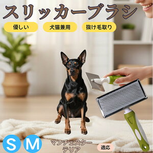 �y5�{�|�C���g�z�}���`�F�X�^�[�e���A�� �}���`�F �X���b�J�[�u���V ���L���p �y�b�g�u���V �����сE�ыʎ�� ��[���`�Œɂ��Ȃ� �Z�� ���ёΉ� ���^�� ���^�� �ې�OK �}�b�T�[�W �O���[