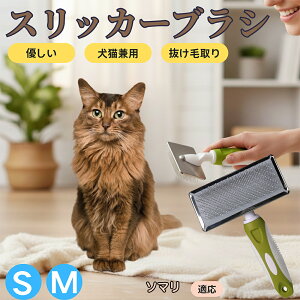 �y5�{�|�C���g�z�\�}���L�� �\�}�� �X���b�J�[�u���V ���L���p �y�b�g�u���V �����сE�ыʎ�� ��[���`�Œɂ��Ȃ� �Z�� ���ёΉ� ���^�� ���^�� �ې�OK �}�b�T�[�W �O���[�~���O�p