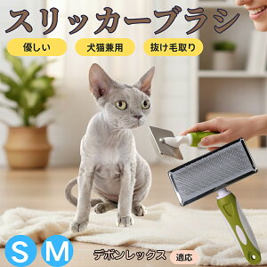 y5{|Cgzf{bNXL f{ XbJ[uV Lp ybguV сEыʎ [`ŒɂȂ Z ёΉ ^ ^ ېOK }bT[W O[~Op