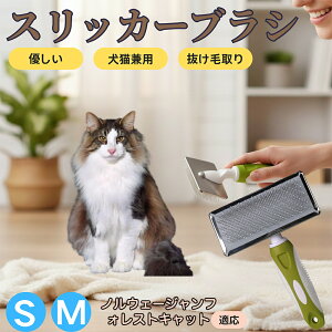 �y5�{�|�C���g�z�m���E�F�[�W�����t�H���X�g�L���b�g�L �X���b�J�[�u���V ���L���p �y�b�g�u���V �����сE�ыʎ�� ��[���`�Œɂ��Ȃ� �Z�� ���ёΉ� ���^�� ���^�� �ې�OK �}�b�T�[�W 