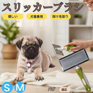 �y5�{�|�C���g�z�p�O���� �p�O �X���b�J�[�u���V ���L���p �y�b�g�u���V �����сE�ыʎ�� ��[���`�Œɂ��Ȃ� �Z�� ���ёΉ� ���^�� ���^�� �ې�OK �}�b�T�[�W �O���[�~���O�p