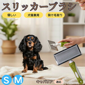 �y5�{�|�C���g�z�L���o���A�L���O�`���[���Y�X�p�j�G���� �X���b�J�[�u���V ���L���p �y�b�g�u���V �����сE�ыʎ�� ��[���`�Œɂ��Ȃ� �Z�� ���ёΉ� ���^�� ���^�� �ې�OK �}�b�T�[