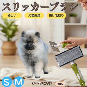 L[Xzh L[X XbJ[uV Lp ybguV сEыʎ [`ŒɂȂ Z ёΉ ^ ^ ېOK }bT[W O[~Op