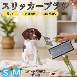 �y5�{�|�C���g�z�R�[�C�P���z���f�B�G�� �R�C�P�� �X���b�J�[�u���V ���L���p �y�b�g�u���V �����сE�ыʎ�� ��[���`�Œɂ��Ȃ� �Z�� ���ёΉ� ���^�� ���^�� �ې�OK �}�b�T�[�W �O���[