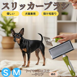 gC}`FX^[eA gC}`F XbJ[uV Lp ybguV сEыʎ [`ŒɂȂ Z ёΉ ^ ^ ېOK }bT[W O[~O