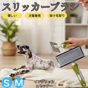 �y5�{�|�C���g�z�C���O���b�V���Z�b�^�[�� �C���O���b�V�� �X���b�J�[�u���V ���L���p �y�b�g�u���V �����сE�ыʎ�� ��[���`�Œɂ��Ȃ� �Z�� ���ёΉ� ���^�� ���^�� �ې�OK �}�b�T�[