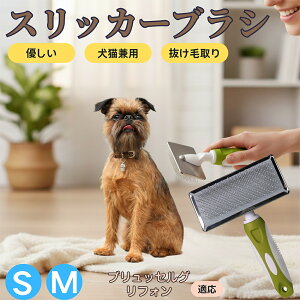 y5{|CgzubZOtH ubZ XbJ[uV Lp ybguV сEыʎ [`ŒɂȂ Z ёΉ ^ ^ ېOK }bT[W 