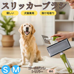 �y5�{�|�C���g�z�S�[���f�����g���o�[�� �S�[���f�� �X���b�J�[�u���V ���L���p �y�b�g�u���V �����сE�ыʎ�� ��[���`�Œɂ��Ȃ� �Z�� ���ёΉ� ���^�� ���^�� �ې�OK �}�b�T�[�W �O��