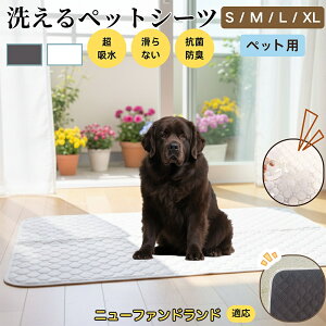 j[t@hh j[t@ ybg}bg 􂦂 h ybgV[c z  ΍ gC}bg L p }bg hL R ~ߕt ^ ^ ^ 