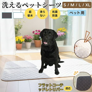 tbgR[ebhgo[ ybg}bg 􂦂 h ybgV[c z  ΍ gC}bg L p }bg hL R ~ߕt ^ ^ ^ 