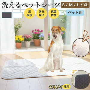 {]C {]C ybg}bg 􂦂 h ybgV[c z  ΍ gC}bg L p }bg hL R ~ߕt ^ ^ ^ p 