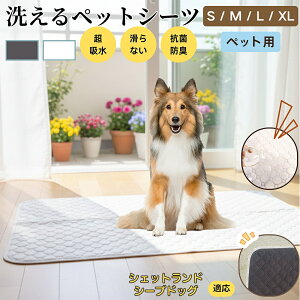 VFbghV[vhbO VFeB ybg}bg 􂦂 h ybgV[c z  ΍ gC}bg L p }bg hL R ~ߕt ^ ^ ^