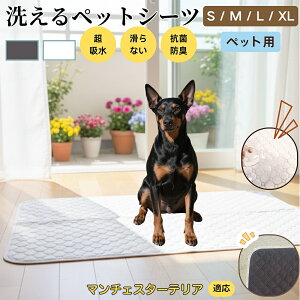 }`FX^[eA }`F ybg}bg 􂦂 h ybgV[c z  ΍ gC}bg L p }bg hL R ~ߕt ^ ^ ^ 