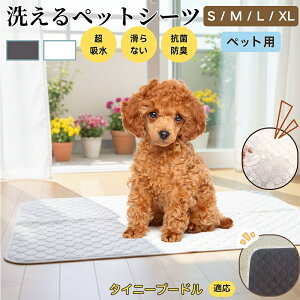 ^Cj[v[h ^Cj[v[ ybg}bg 􂦂 h ybgV[c z  ΍ gC}bg L p }bg hL R ~ߕt ^ ^ ^ 