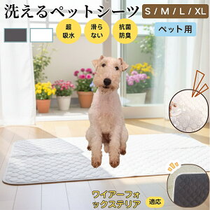 C[tHbNXeA C[ ybg}bg 􂦂 h ybgV[c z  ΍ gC}bg L p }bg hL R ~ߕt ^ ^ ^ 