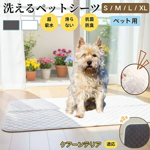 PA[eA PA[ ybg}bg 􂦂 h ybgV[c z  ΍ gC}bg L p }bg hL R ~ߕt ^ ^ ^ p 