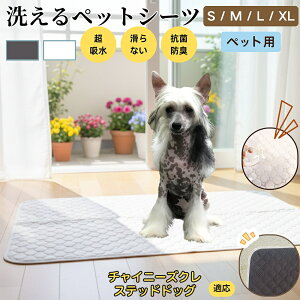 `Cj[YNXebhhbO `CN ybg}bg 􂦂 h ybgV[c z  ΍ gC}bg L p }bg hL R ~ߕt ^ ^ 