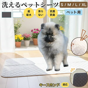 L[Xzh L[X ybg}bg 􂦂 h ybgV[c z  ΍ gC}bg L p }bg hL R ~ߕt ^ ^ ^ p 